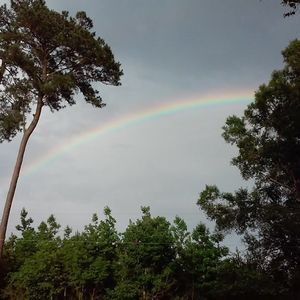 Meet your Posher, Joy